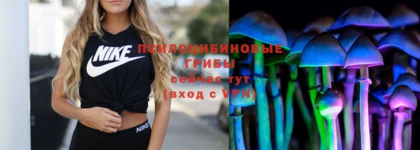 apvp Володарск