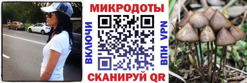 Купить  Урус-Мартан  Псилоцибиновые грибы GOLDEN TEACHER 